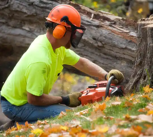 tree services Perham